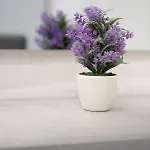 Dante Square Apartmán *