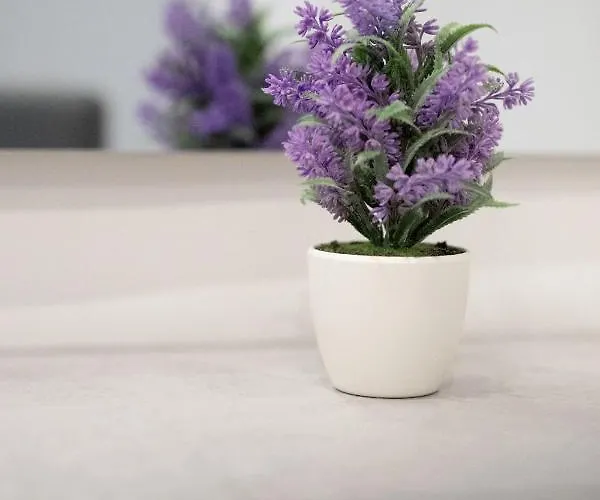 Dante Square Apartment *