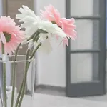 Dante Square Appartement