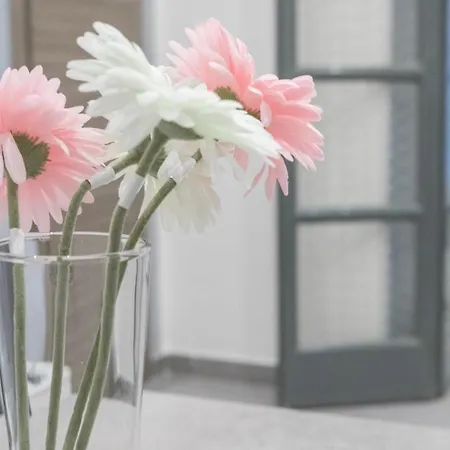 Dante Square アパート