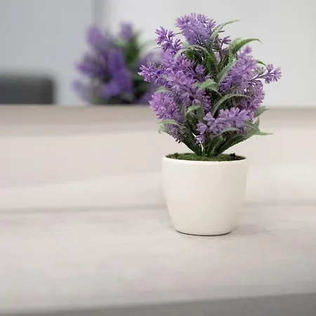 Dante Square アパート *